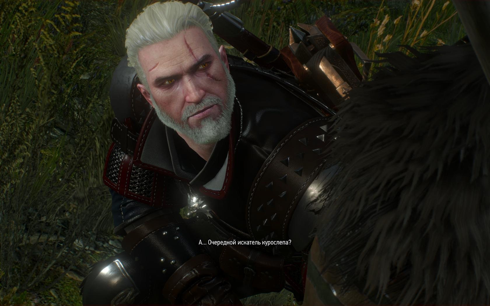 Download the witcher 3 goty фото 30