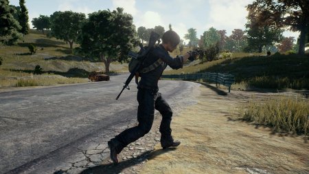PlayerUnknown's Battlegrounds [v2.5.26] (2017) PC | Beta|Steam Early Access