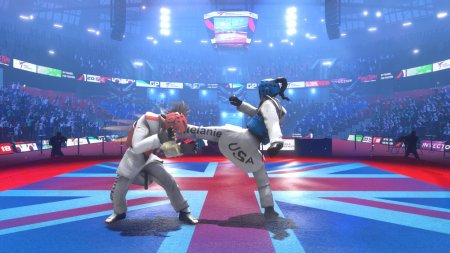 Taekwondo Grand Prix (2018) PC | Лицензия