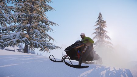 SNOW - The Ultimate Edition (2020) PC | Лицензия