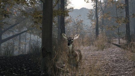 Pro Deer Hunting 2 (2021) PC | 