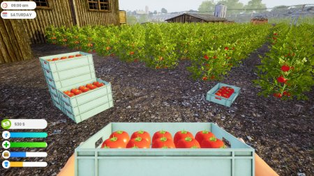 Farmer Life Simulator (2021) PC | Лицензия