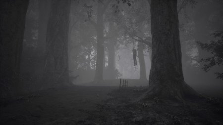 IMAGO: Beyond the Nightmares (2022) PC | Лицензия
