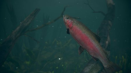Ultimate Fishing Simulator 2 (2025) PC | 