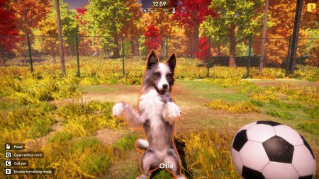 Animal Shelter 2 (2025) PC | 