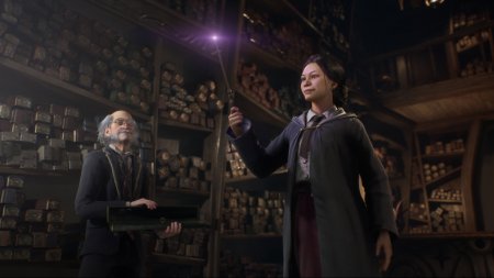 Hogwarts Legacy [v 1613387 + DLCs] (2023) PC | �������
