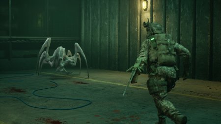 ENTITY: THE BLACK DAY (2026) PC | �������