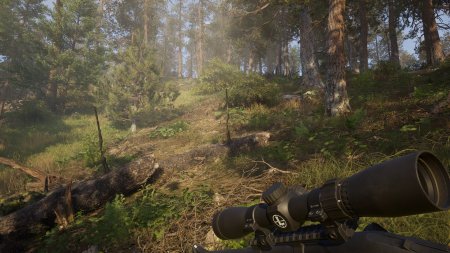 Way of the Hunter 2 (2026) PC | ��������