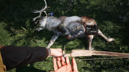 Among the Trolls (2026) PC | �������